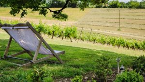 CHATEAU-DE-TERRIDE-4