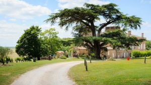CHATEAU-DE-TERRIDE-5