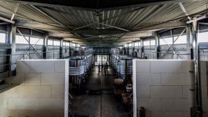 DOMAINE-DE-ROCHEVILLE-2