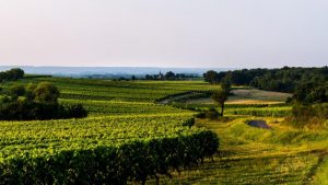 DOMAINE-DE-ROCHEVILLE-5