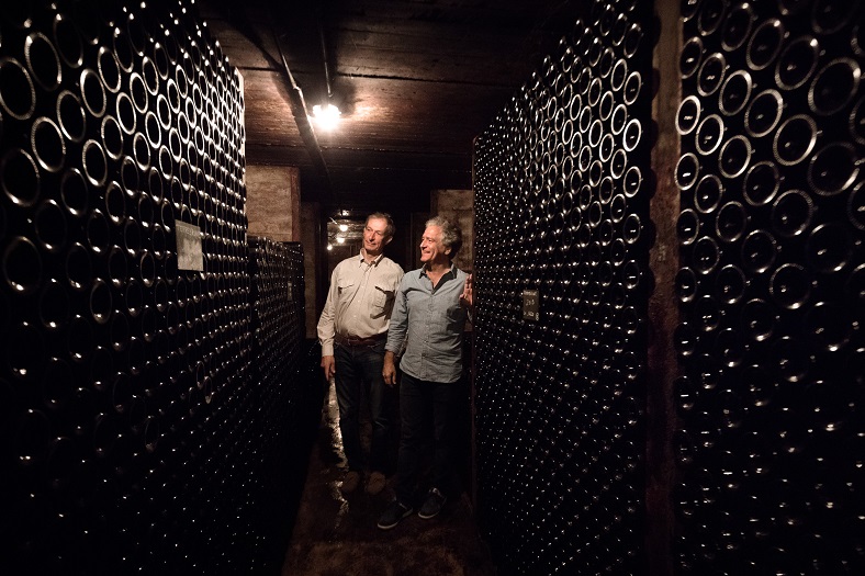 Vin vignes Provence Bandol domaine de Terrebrune iDealwine cave