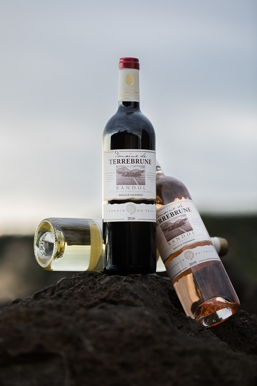 Vin vignes Provence Bandol domaine de Terrebrune iDealwine