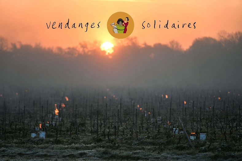 Vente caritative iDealwine Vendanges Solidaires vin vignerons