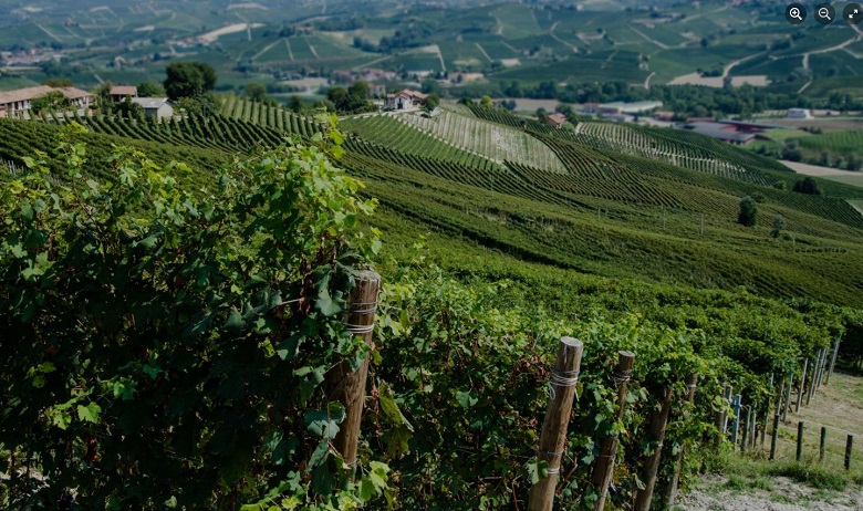Azienda Roberto Voerzio iDealwine vin Italie