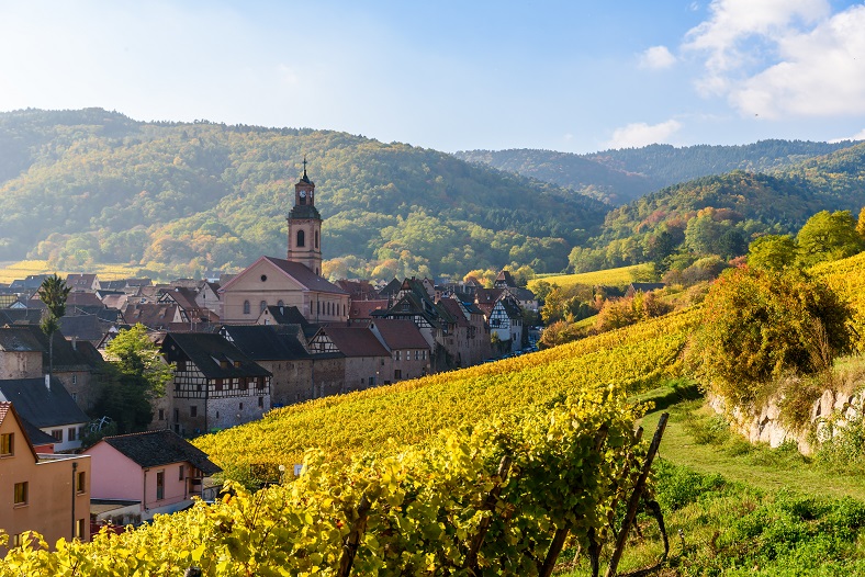 Alsace Albert Boxler vin iDealwine