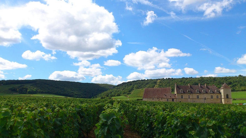 Domaine Chantal Lescure iDealwine vin Bourgogne