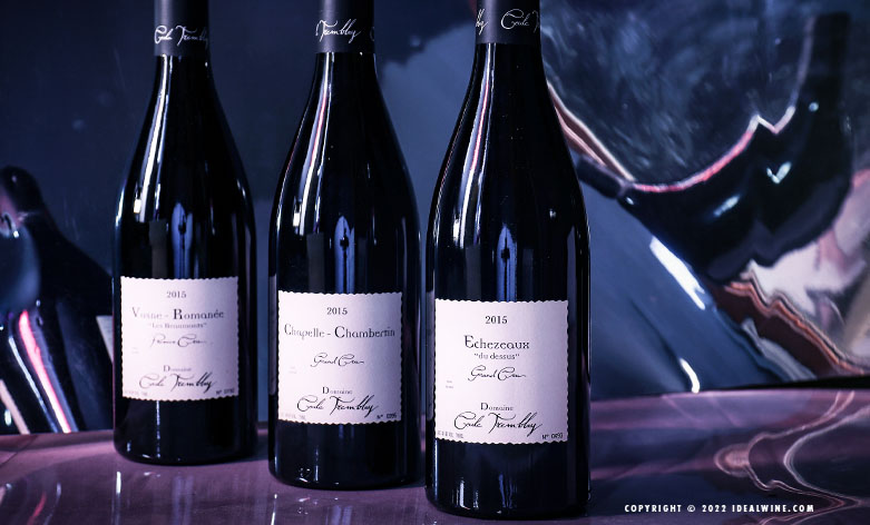 Encheres Cecile Tremblay vin Bordeaux Bourgogne Rhone