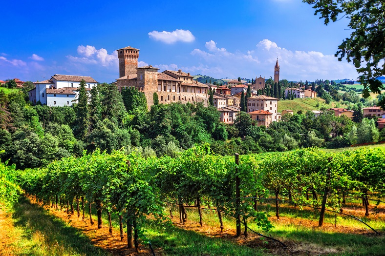 Italie vins guide iDealwine