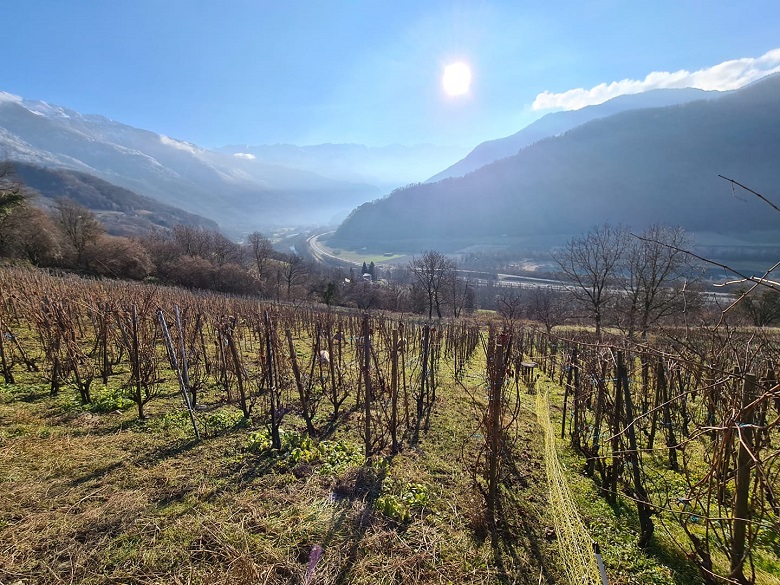 Domaine de l'Aitonnement vin Savoie iDealwine biodynamie