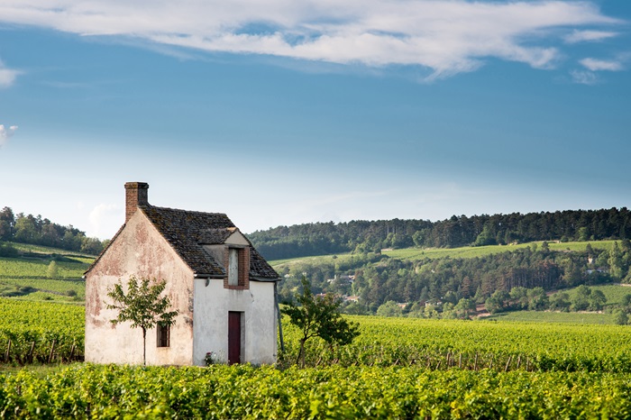 Petite maison dans le vignoble bordelais