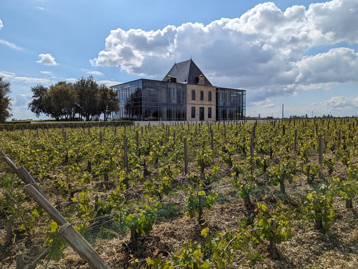 Château Pedesclaux - Vignes - iDealwine