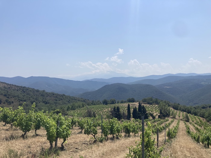 Le Soula Roussillon iDealwine domaine vin vignes visite